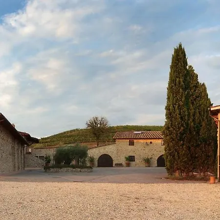 Azienda Agricola A Bonacchi-3