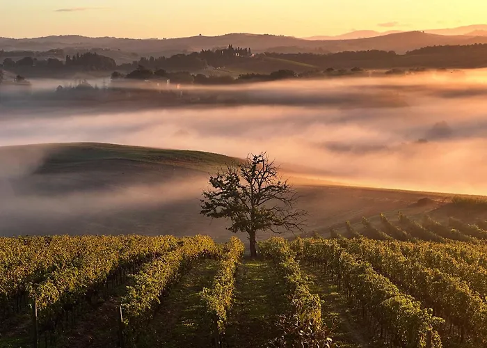 Wine Resort Colsereno Montalcino